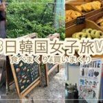 [韓国🇰🇷]初韓国の友達と行く韓国旅vlog|韓国旅行|カフェ巡り|パン巡り|食べまくり|女子旅 #韓国旅行#食べまくり#パン屋巡り #vlog