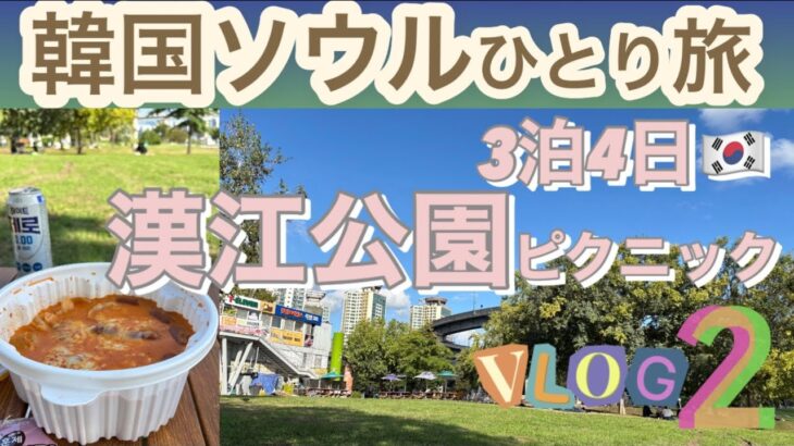 韓国旅行🇰🇷ソウルひとり旅3泊4日vlog漢江公園2 오사카인 혼자 여행
