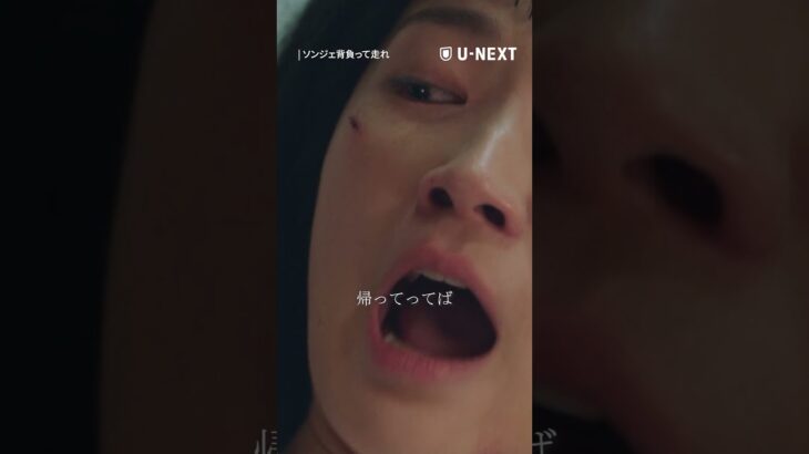 大ヒットを記録した韓国ドラマ『ソンジェ背負って走れ』U-NEXTで独占配信中
