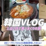 【VLOG】1泊2日韓国旅行✈️🇰🇷グルメにショッピングに大満足🛍️