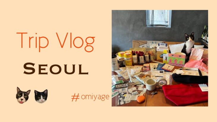 【韓国Vlog】韓国で買ってきたお土産/雑貨とか食器とかパンとかいろいろ🥐👜☕️