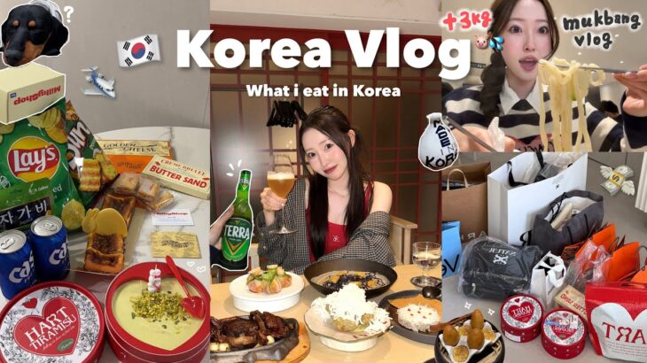 【Vlog】韓国在住女の休日☁️母が日本から韓国旅行にやってきた✈️🇰🇷食べて、最新スポット巡って、爆買いしてもらおう作戦💨聖水、安国巡りなど🌳