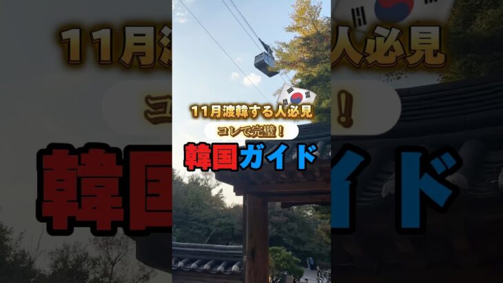 #渡韓情報 #韓国 #韓国情報 #渡韓 #韓国旅行 #koreatrip #kpop #韓国vlog #韓国グルメ #韓国料理 #11月 #ポップアップ #気温 #服装 #仁川空港 #オタ活vlog
