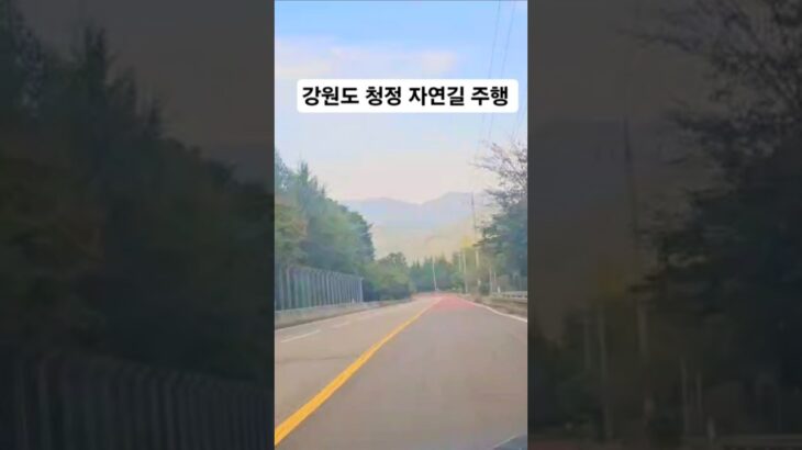 시간여행 시리즈 ❤️ 😎 👀 ✔️ 강원도 청정 자연길 주행! #대한민국여행 #원삿갓 #여행 #자연의힘 #다이루어질지니 #우리에게안녕 #임영웅 #임영웅유튜브