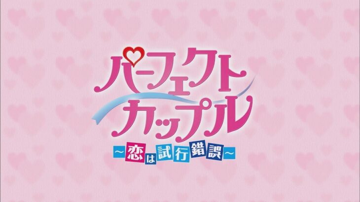 【公式】韓国ドラマ「パーフェクトカップル～恋は試行錯誤～」DVD予告編