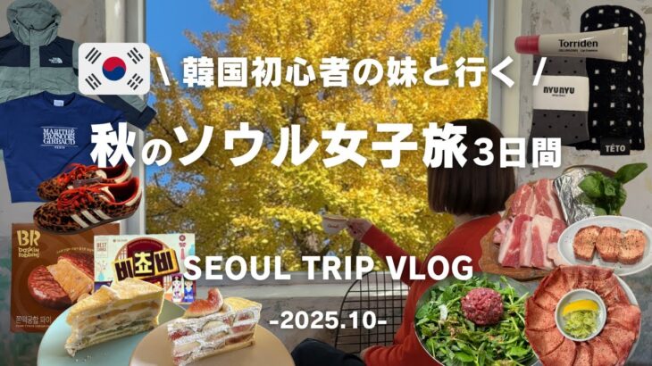 【韓国旅行Vlog】人気＆定番コースをめぐる 秋のソウル女子旅3日間 グルメ/カフェ/ショッピング/問屋/美容
