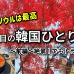 【韓国ひとり旅Vlog】2回目前編｜今回も色々やらかす｜紅葉が最高だった韓国KR