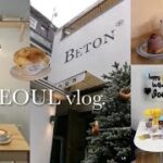 【韓国vlog】11月末の韓国旅行🇰🇷✈️母娘4泊5日│ ondo님のカフェに行った日│ センイル渡韓│ クリスマスシーズンのカフェ巡り│ 肌管理.美容クリニック│ 聖水.望遠洞.延禧洞.弘大.東大門