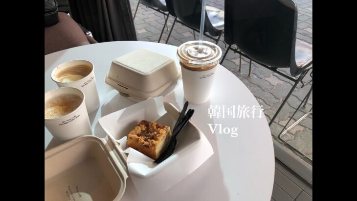 【Vlog】韓国旅行 part2 【ソウル】カロスキル・ホンデ・カフェ・雑貨