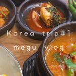 【vlog/韓国旅行/ひとり旅 】おすすめチキン【#1】