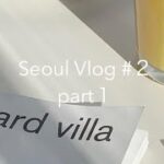 【Seoul Vlog #2】part1 韓国旅行：カフェ巡り/アートメイク/airbnb