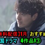 【GYAO 無料配信】1月おすすめの韓国ドラマ4作品！③