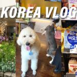 【韓国旅行 vlog】2年半ぶりの3泊4日の韓国旅行🇰🇷 | 弘大と梨泰院でお買い物！朝ご飯に広蔵市場でユッケ！ | KOREA VLOG ⑤