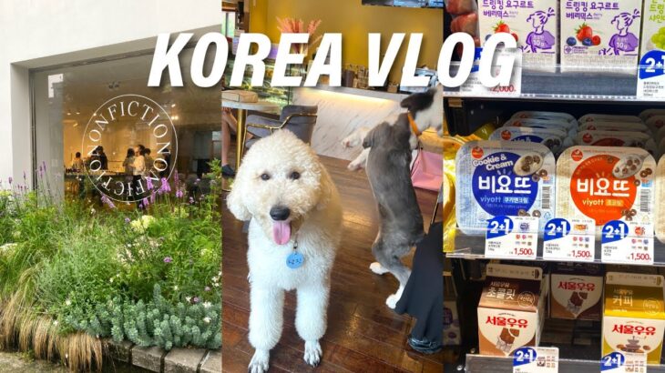 【韓国旅行 vlog】2年半ぶりの3泊4日の韓国旅行🇰🇷 | 弘大と梨泰院でお買い物！朝ご飯に広蔵市場でユッケ！ | KOREA VLOG ⑤