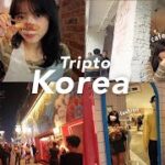 【vlog】私が絶対におすすめしたい韓国のカフェ洋服屋さん🇰🇷  人生初の梨泰院ではヤバいことに…?【DAY2】