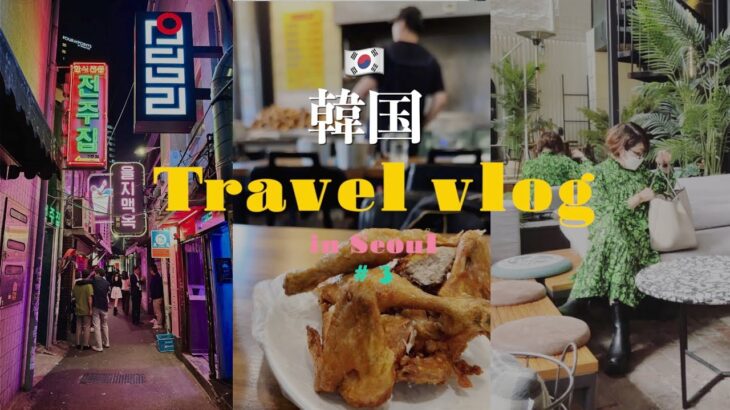 【韓国旅行vlog#3】韓国旅行2022.9月✈️🇰🇷インスタで気になってたショップへGO！｜東大門総合市場 | 夜の酒場｜서울|｜