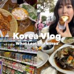 【Vlog】念願の韓国旅行🇰🇷💕韓国で過去一レベルの暴飲暴食‼️🍻💦ハプニングありの３泊４日👀おすすめグルメ、食べ歩き、買い物💸