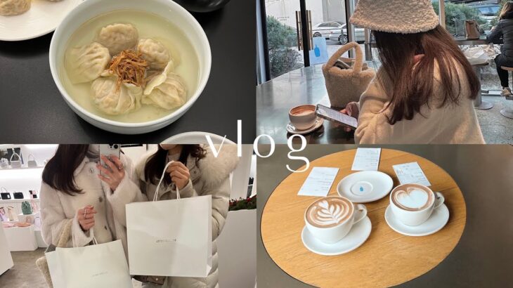 韓国vlog｜ソウルで過ごす年末年始🎍家族が遊びに来てくれました🐇【前編】
