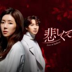 韓国ドラマ「悲しくて、愛」　DVD公式予告