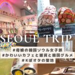 【旅Vlog】母娘の韓国ソウル旅1日目 | ソウルの森 | 東大門 | 明洞の滞在ホテル紹介｛SUB｝