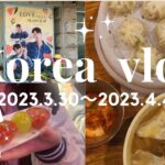 【韓国Vlog】家族で行く10回目の韓国旅行🇰🇷5泊6日ツアーにご案内します🌷✨