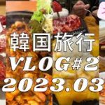 【韓国旅行Vlog#2】アラフォー女なの2泊3日韓国旅行/韓国カフェ／韓国グルメ／狎鴎亭／明洞
