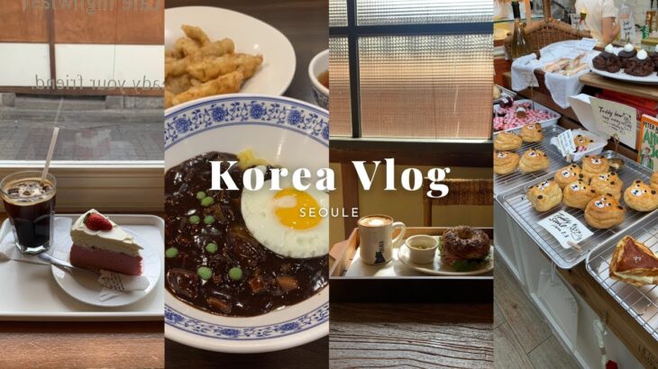 【韓国旅行Vlog】Part.2 限界1人韓国旅行🇰🇷♡｜漢南洞カフェ🥯｜益善洞カフェ☕️｜弘大でショッピング🛍️｜最高峰人生🌹✨