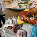 trip vlog｜韓国旅行🇰🇷ep2｜景色が良いスタバで朝ごはん🌿｜狎鴎亭ランチ🥪｜現代ソウル🛒｜念願の漢川公園でラーメン🍜