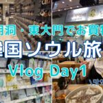 【韓国旅行Vlog】Day1 | 明洞＆東大門で買い物 | 明洞おすすめホテル | 明洞餃子 | タッカンマリ