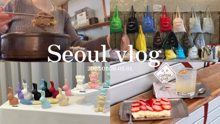 〈Seoul vlog〉韓国旅行 ひとり旅 / 絶品韓国料理 カルビタン / 安国 カフェ / 証明写真 / 韓国雑貨 / 서울여행 브이로그 / 안국 카페 / 갈비탕 / korean trip