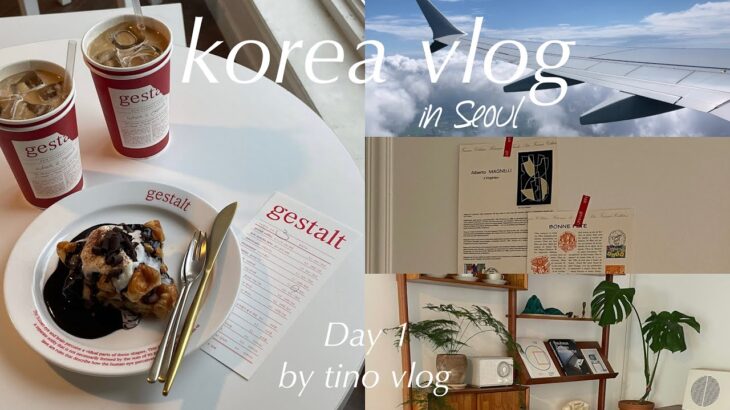 〔Seoul vlog〕2泊3日韓国料理🇰🇷✈︎Day1｜弘大カフェ☕️｜東大門でお買い物🛒｜NYUNYU, タッカンマリ🐓｜ソラリア西鉄ホテル