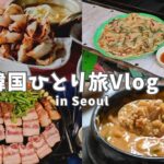 【韓国Vlog】おひとり様グルメ満載！ディープな立ち飲みで、ひとり飲み！gotomallで買い物やまつ毛パーマ、最後は野外でサムギョプサル！ #30