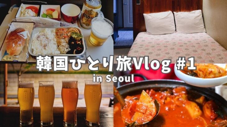 【韓国Vlog】アシアナ航空でソウルへ！初韓国モーテルに宿泊！人気の東大門nyunyuでお買い物！美味しい韓国グルメも堪能した夜！ #29