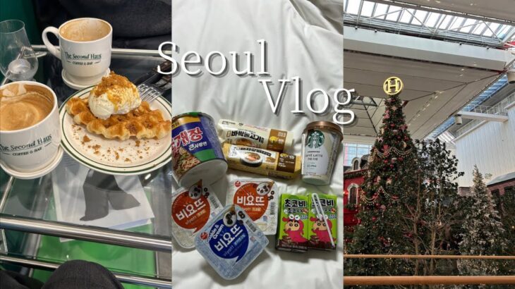 【渡韓Vlog】母と行く冬の4泊5日韓国旅行!/part1/シズニvlog/