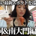 🇰🇷【韓国vlog】食べて買い物三昧の女1人渡韓/まさかの南大門が過疎ってる？明洞のオリヤンは激混み！最新渡韓状況