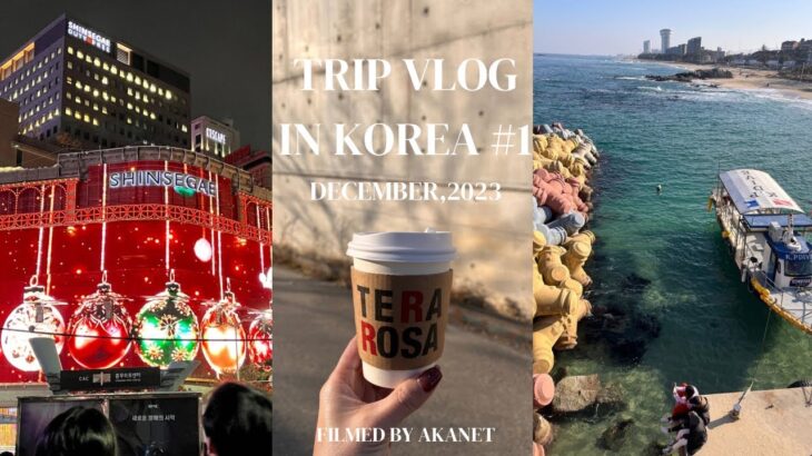 ［ 韓国Vlog ］🇰🇷12月大人の修学旅行5泊6日 #1 | 京畿道で鰻BBQ、江陵日帰り旅行で冬の海、ARTE MUSEUMとオシャレで美味しいカフェ、いつもの肌管理に明洞でお買い物も！