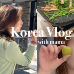 【韓国Vlog】オンマが韓国にキタ