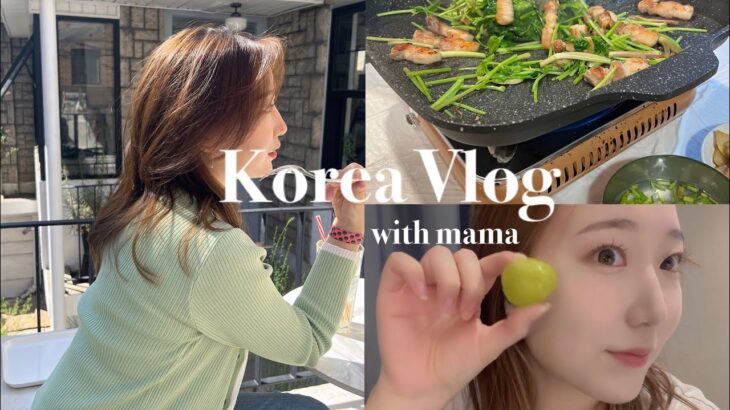 【韓国Vlog】オンマが韓国にキタ