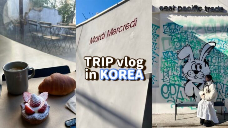 【韓国vlog】 2泊3日韓国女子旅vlog❄️｜5年ぶりの海外旅行✈️｜ソウル満喫｜クリスマス🎄｜無計画でもなんとかなる😽