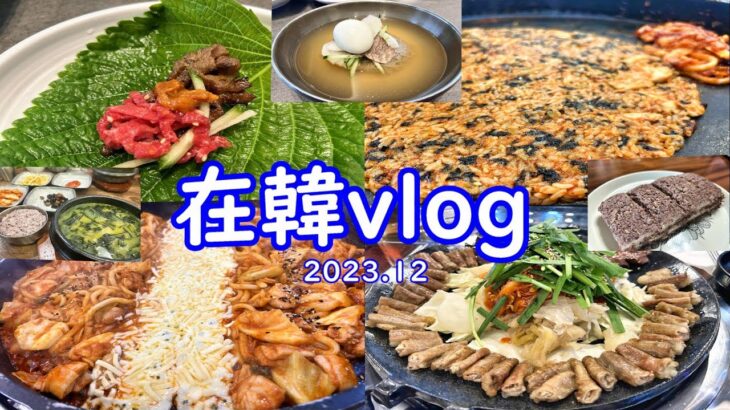 【在韓vlog】2023.12,韓国料理食べ歩き&年末のご挨拶
