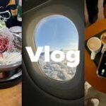 【Vlog】寒かった11月の韓国旅行/東大門トッケビプルコギ/ナインツリープレミアホテル明洞2ルームツアー/カンジャンケジャン