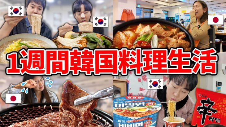 1週間韓国の食事だけで生活してみたら日本人にはキツすぎたwww