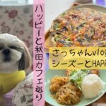 ハッピーと秋田カフェ巡り/ベイパラダイス、セリオン/韓国料理セジョンの食卓