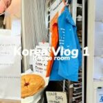〔vlog〕韓国旅行|korea vlog🇰🇷|仁川,ソウル,聖水,広蔵市場|社会人vlog