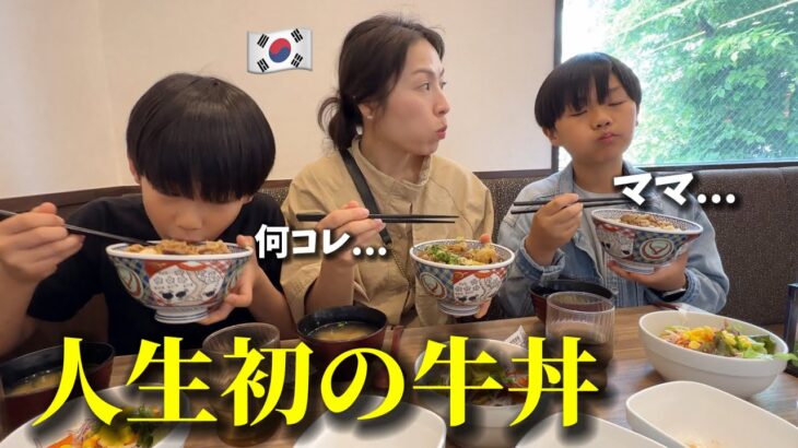 【人生初の牛丼】日本食が好きな韓国人家族が衝撃を受けました…