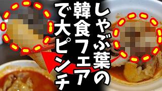 【悲報】しゃぶ葉「韓国料理とのコラボを実現しました」また一つ、日本の食の安全が…Ｋの法則発動は絶対なのに、一方、韓国語で「ごちそうさまでした」って何て言う？誰も応えられなかった模様ｗ