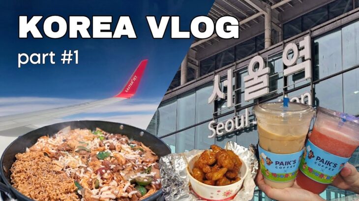 【韓国vlog】家族で2泊3日の韓国旅行🇰🇷 1日目！ 7月上旬の韓国 東大門でショッピング