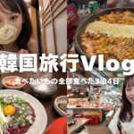 【韓国Vlog】全部美味し過ぎた！🇰🇷幸せいっぱい3泊４日🤍