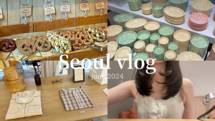 〈韓国vlog〉２泊３日韓国ひとり旅🇰🇷✧グルメ,雑貨,ショッピング,現地の友達とお酒🍻❤（聖水.漢江.ソウルの森）