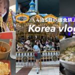 母娘で行く4泊5日の韓国旅行🇰🇷漢江ラーメン,タッカンマリ,ロッテワールド,明洞,狎鴎亭ロデオなどなど… 大充実の旅🍜🛍️🍗【韓国vlog】